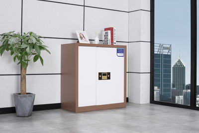 單節(jié)有斗保密柜（咖白）