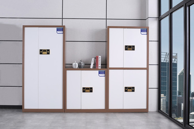 組合保密柜（咖白）