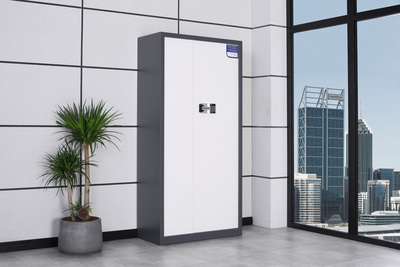 通門帶斗保密柜（深灰）