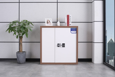 單節(jié)無斗保密柜（咖白）