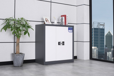 單節(jié)有斗保密柜（深灰）