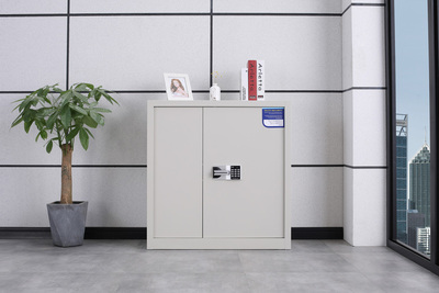 單節(jié)有斗保密柜（淺灰）