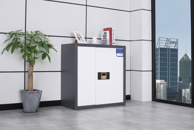 單節(jié)無斗保密柜（深灰）