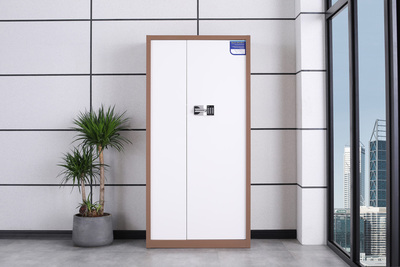 通門帶斗保密柜（咖白）